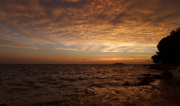 photo_by_unsplash.com/@maciek_wrona